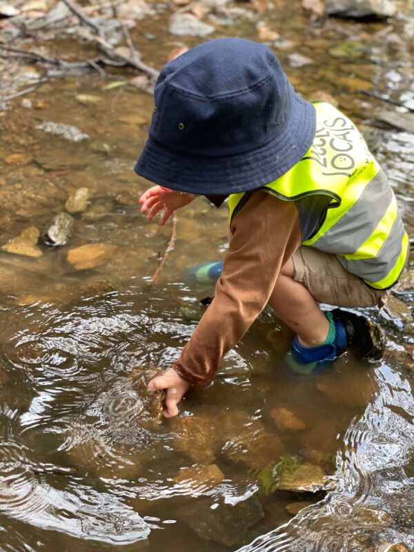 A child wearing a Little Locals’ Early Learning high-vis vest reaches into a creek during a Bush Kindy excursion at the long daycare centre.