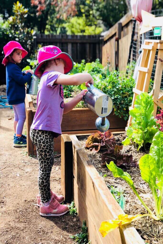 A child waters a garden at a Little Locals Early Learning centre, as sustainability plays a central role in these long day care centres.